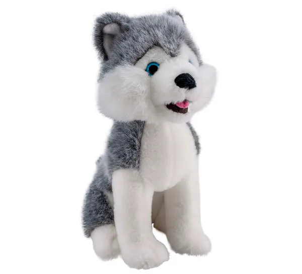 Main Image Husky, sittende, medium