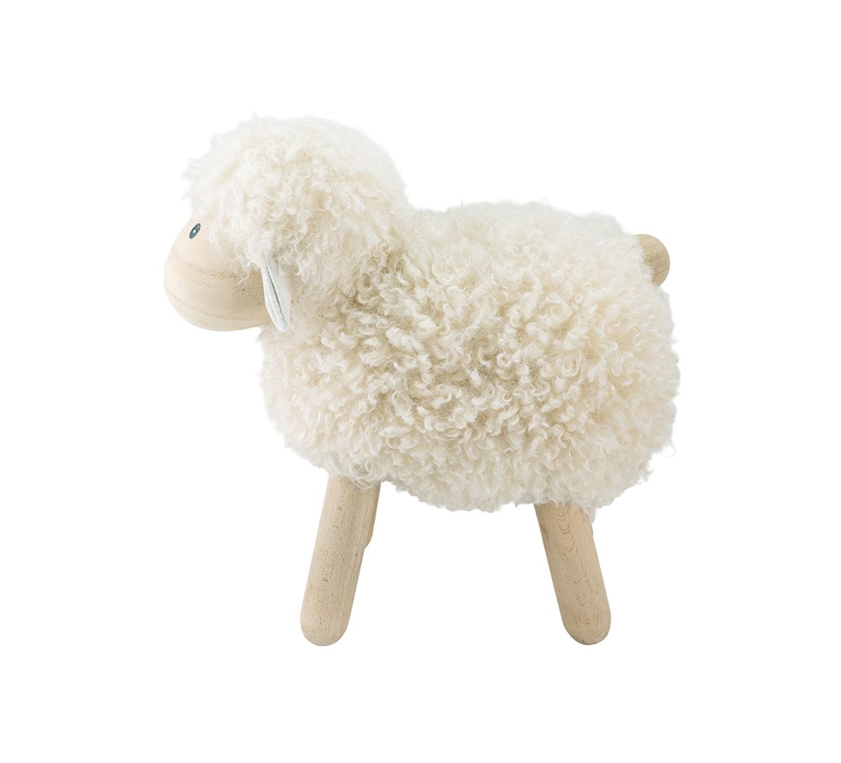 Sheep cream, big
