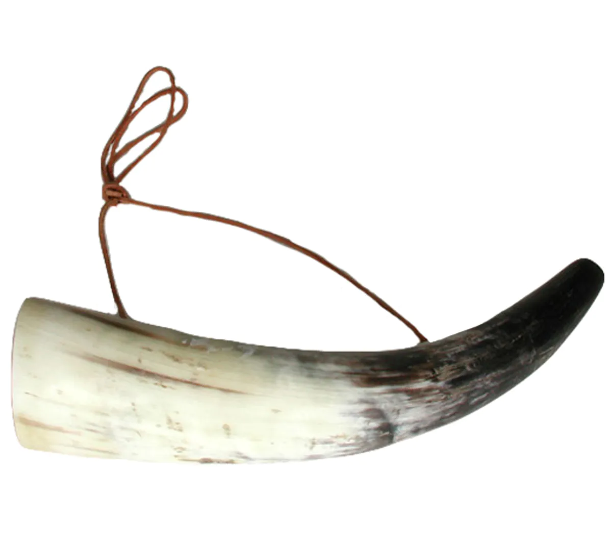Horn med lyd - stort