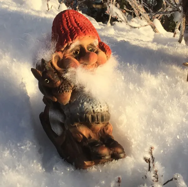 Main Image Ny Form Santa with sledge