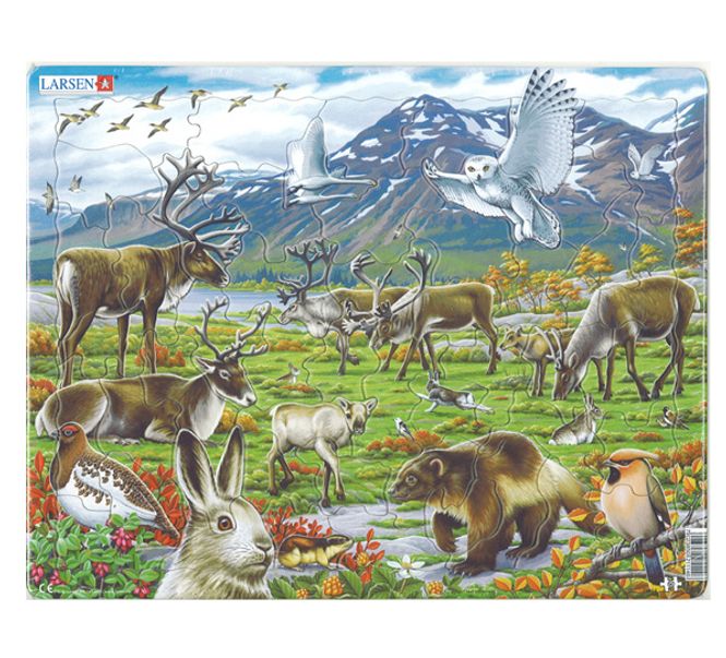 Hovedbilde Puslespill, Norsk fauna, 50 brikker