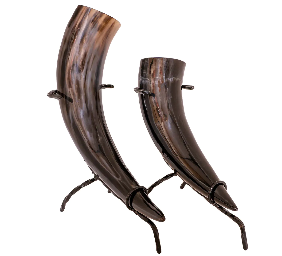 Viking horn