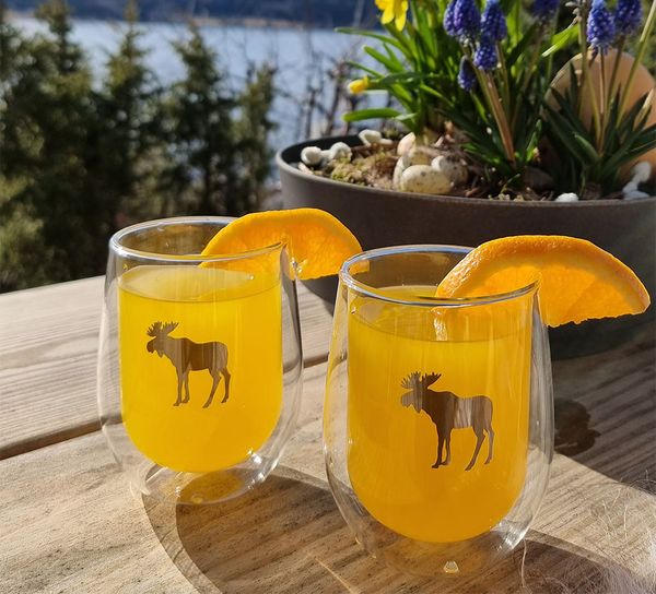 Main Image Silver Moose double wall glass