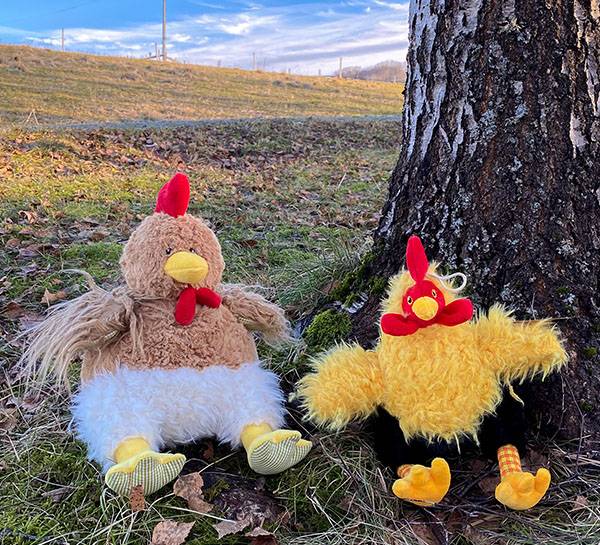 Hovedbilde Høne sittende gul